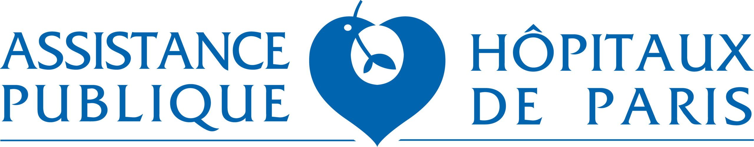 Logo-AP-HP_Bleu-Jpg